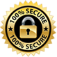100% Secure Checkout